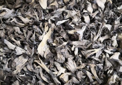 Sötét trombitagomba