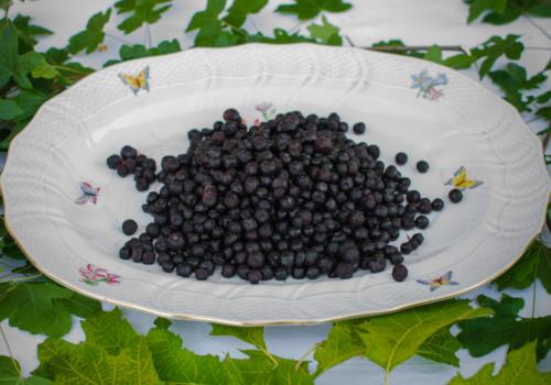 Erdei fekete áfonya