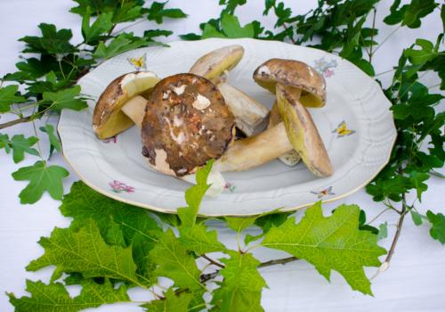 Egész, II. osztály